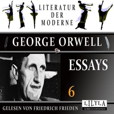 Essays 6 - George Orwell, Audio, 9783988526038