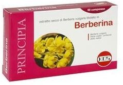 Kos Berberina 60cpr