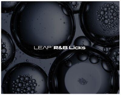 Native Instruments Leap Expansion RnB Licks