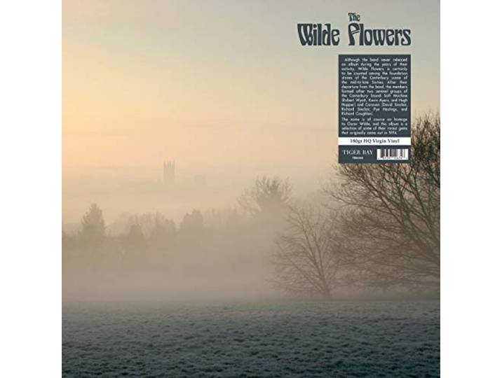 The Wilde Flowers