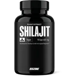 Big Zone - Shilajit - 90 Kapseln