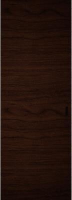 SARTODOORS Planum 0010 Black Hidden Barn Door