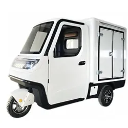 Econ-Way E-Kastenwagen SLSM19-CB