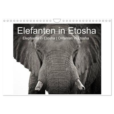 Elefanten in Etosha (Wandkalender 2027 DIN A4 quer), CALVENDO Monatskalender