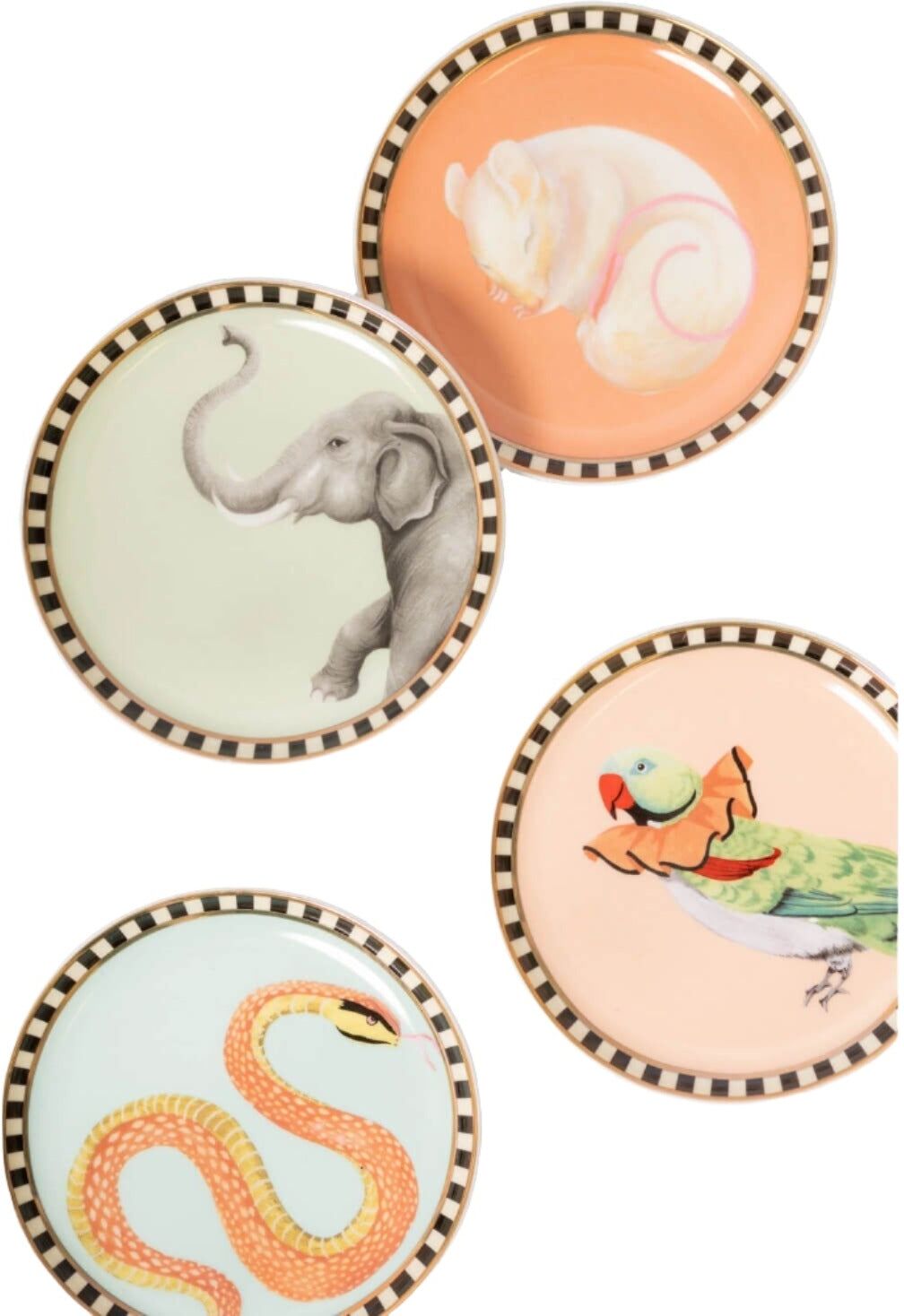 Yvonne Ellen Fine China 4-Piece Coaster Set - Animal