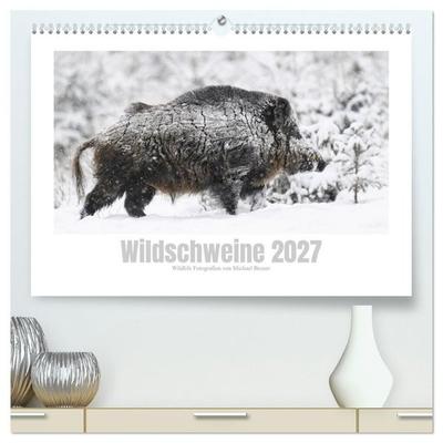 Wildschweine – Wildlife Fotografien (hochwertiger Premium Wandkalender 2027 DIN A2 quer), Kunstdruck in Hochglanz