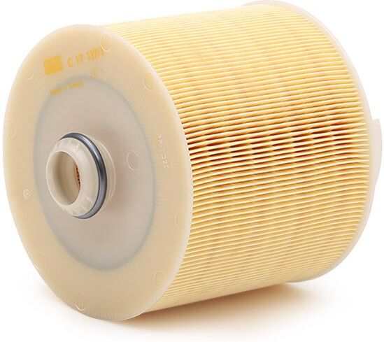 MANN-FILTER C 17 137/1 x Air filter