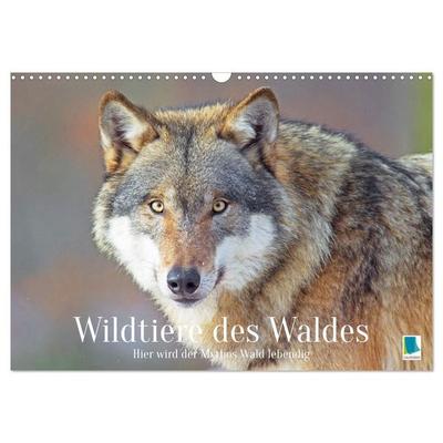 Wildtiere des Waldes: Hier wird der Mythos Wald lebendig (Wandkalender 2027 DIN A3 quer), CALVENDO Monatskalender