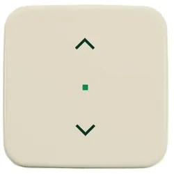 Busch-Jaeger Wippe 1-fach, Symbol Licht 6232-10-212