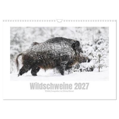 Wildschweine – Wildlife Fotografien (Wandkalender 2027 DIN A3 quer), CALVENDO Monatskalender