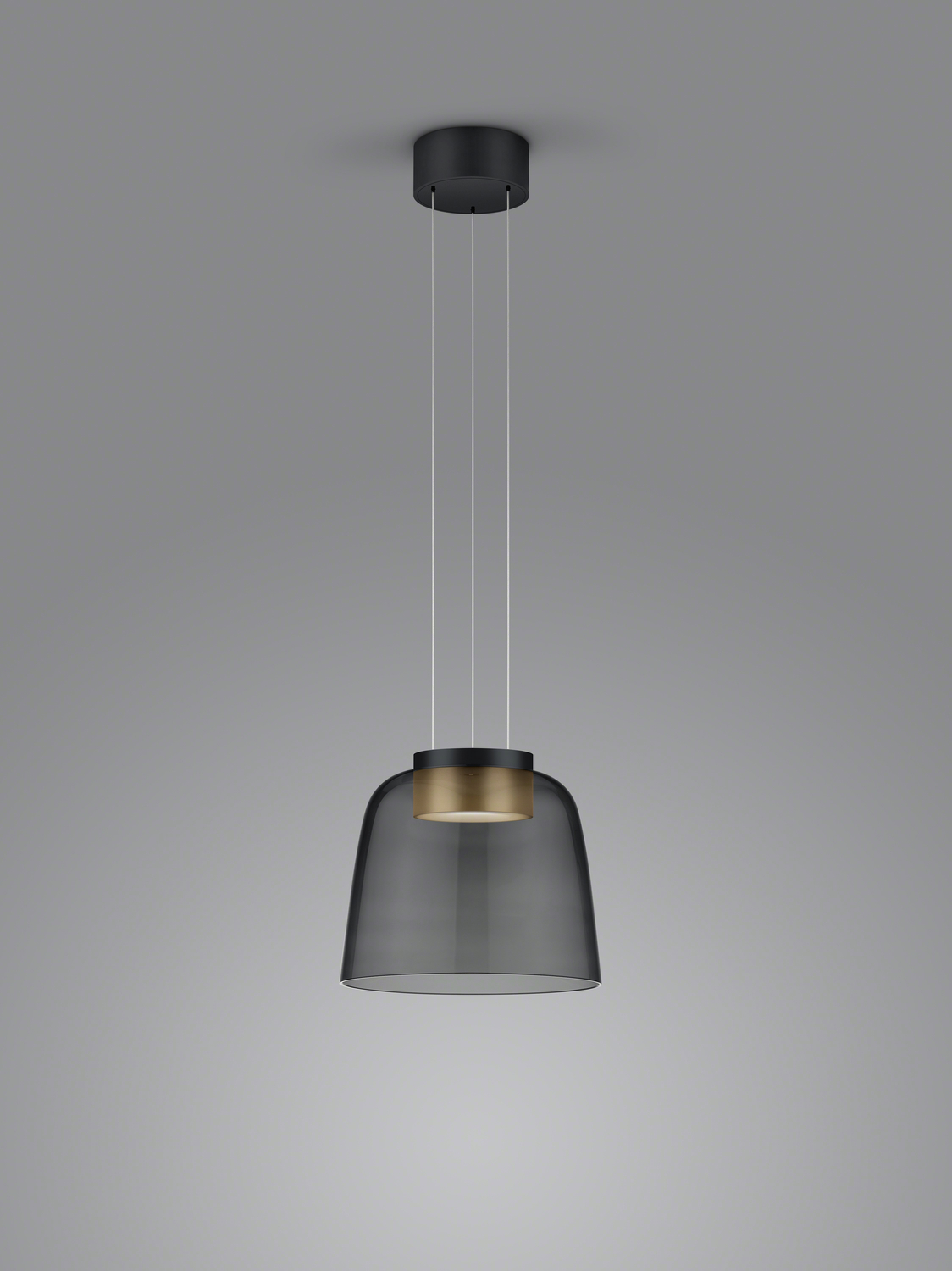 Helestra LED-Pendelleuchte ODA Schwarz/Gold 6-5087.28 4022671118743