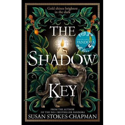 The Shadow Key, Gebundene Ausgabe von Susan Stokes-Chapman, Vintage Publishing