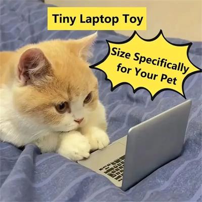 Mini Cat Laptop Toy With Mirror For Playful Kittens Mini Cat Laptop Toy With Mirror For Playful Kittens