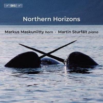 Northern Horizons - Markus Maskuniitty,Martin Sturfält, CD