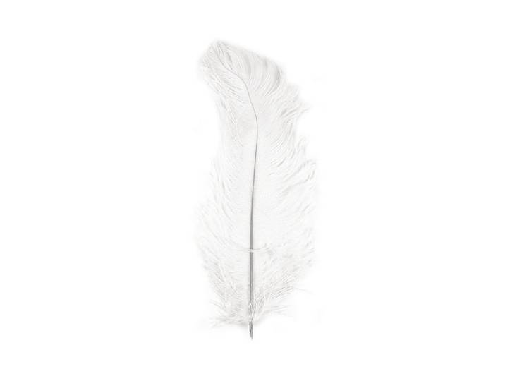 Rayher Straussenfeder Weiss 30 cm