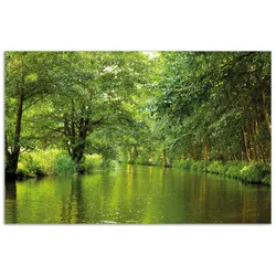 Wallario Herdabdeckplatte 80 x 52 cm (BxH), 1-teilig Spreewald in Brandenburg  grüne Wälder und Spiegelungen im Wasser