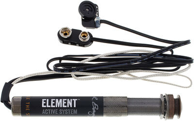 L.R.Baggs EAS Element Aktive System