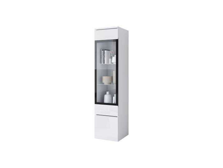 HÄNGEVITRINE Vera 002 mit LED Beleuchtung