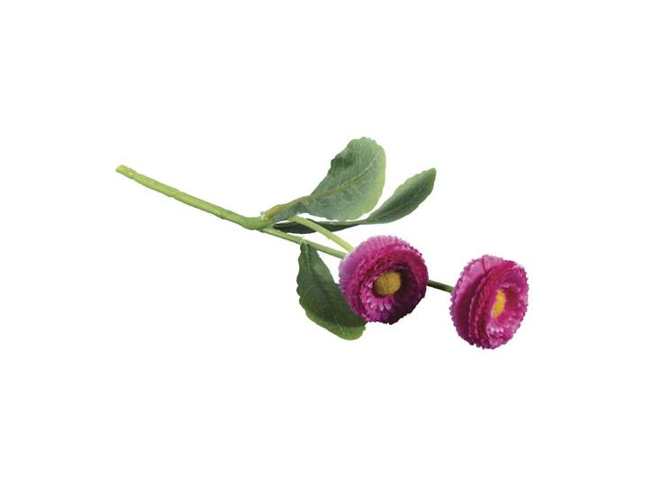 Rayher Massliebchen Pick 23 cm 2 Stück