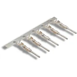 Lapp Zubehör EPIC-H-D-SCBG-AG 11226000