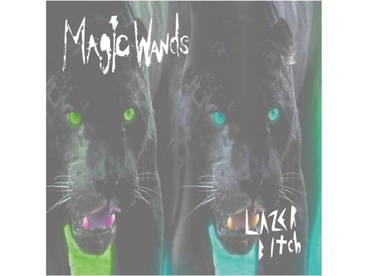 Lazer Bitch