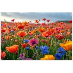 GARTENPOSTER Blumen - Mohnblumen - Farbenfroh - Natur Poster für draußen 180x120 cm