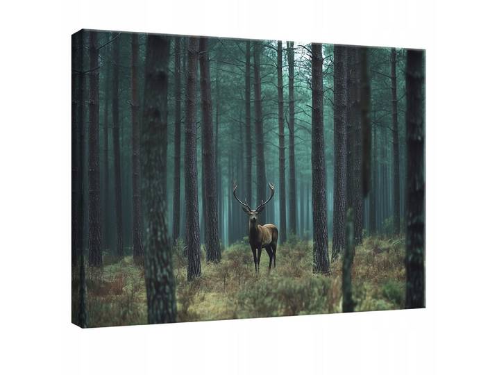 LEINWANDBILD Hirsch Wald Natur Modern 120x80
