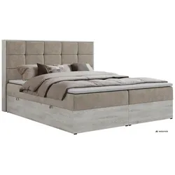 BOXBETT ALNOR 200/200 Greige Stukture - Topper T25 - H4