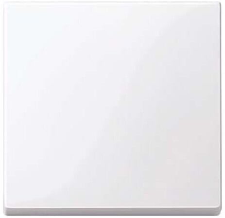 Merten Wippe aws/gl 432125)