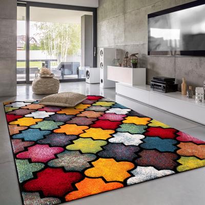 Paco Home Colorful Area Rug With Moroccan Pattern in Multicolor