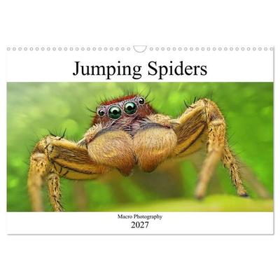 Jumping Spiders (Wall Calendar 2027 DIN A3 landscape), CALVENDO 12 Month Wall Calendar