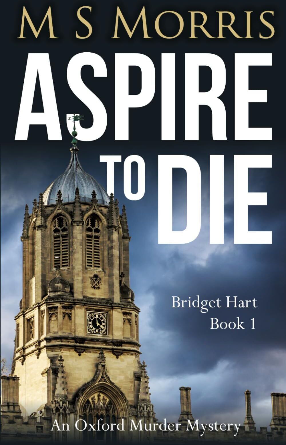 Morris, M S - Aspire To Die - Preis vom 16.10.2026 11:41:07 h
