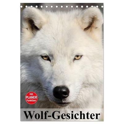 Wolf-Gesichter (Tischkalender 2026 DIN A5 hoch), CALVENDO Monatskalender