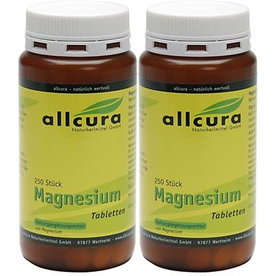 Magnesium Tabletten 2x 2x250 St