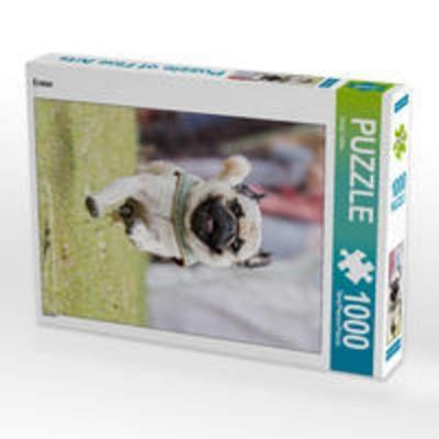 CALVENDO Puzzle Erster | 1000 Teile Lege-Größe 64x48cm Foto-Puzzle für glückliche Stunden