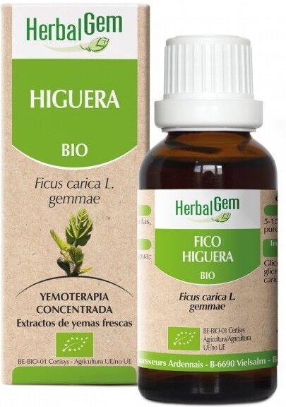 HerbalGem Gemmotherapy Fig Tree 15ml Bio