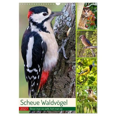 Scheue Waldvögel (Wandkalender 2027 DIN A3 hoch), CALVENDO Monatskalender