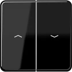 Jung Wippe Symbole sw CD 595 P SW CD595PSW