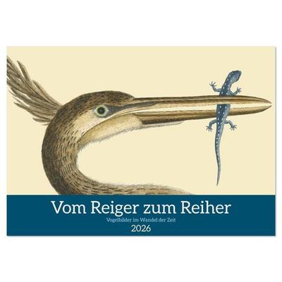 Vom Reiger zum Reiher (Wandkalender 2026 DIN A4 quer), CALVENDO Monatskalender