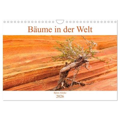 Bäume in der Welt (Wandkalender 2026 DIN A4 quer), CALVENDO Monatskalender