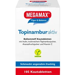 Topinambur Aktiv Megamax 105 ST