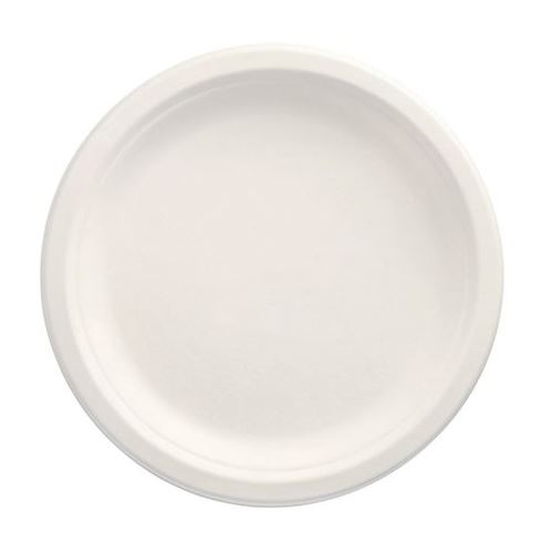 PAPSTAR 100 Zuckerrohr-Teller pure 23,0 x 23,0 cm