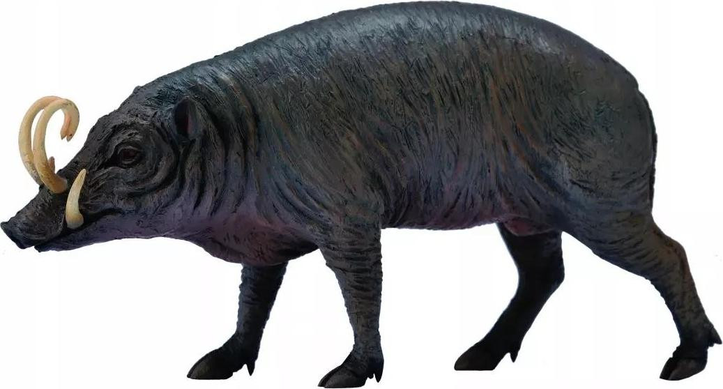 Collecta Babirusa Sulawesi-varken Dierfiguur L