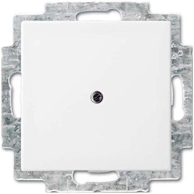 Busch-Jaeger Rosace aveugle blanc alpin 2538-914 (2CKA001715A0319)