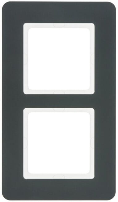 Berker Cadre 2f. anthracite/satiné 10126186 (10126186)