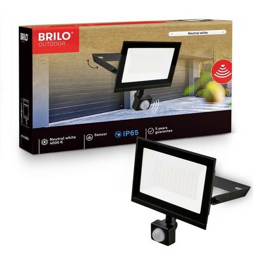 Briloner VARO 4055015 LED-Außenwandleuchte 50W Leuchtfarben: Neutralweiß