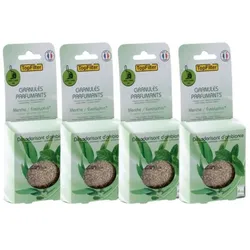 Top Filter 16er-Pack TopFilter Staubsaugerduftbeutel Minze/Eukalyptus