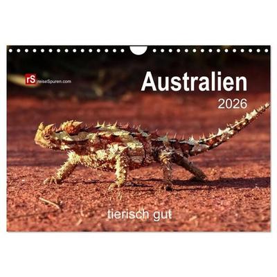 Australien tierisch gut 2026 (Wandkalender 2026 DIN A4 quer), CALVENDO Monatskalender