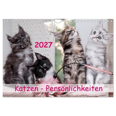 Katzen Persönlichkeiten 2027 (Wandkalender 2027 DIN A4 quer), CALVENDO Monatskalender