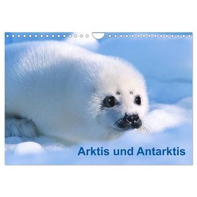 Arktis und Antarktis (Wandkalender 2027 DIN A4 quer), CALVENDO Monatskalender